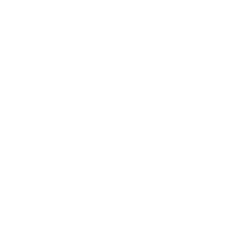 Vector (1)